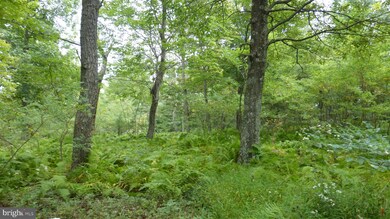 0 Top of Mountain Rd, Moorefield, WV 26836 - photo 3