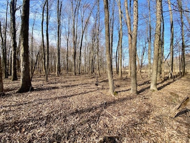 ac Goodwin Schoolhouse Point Isabel Rd, Franklin Township, OH 45106 - photo 3