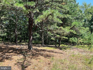 7751 Greenwalt Gap, Franklin, WV 26807 - photo 6