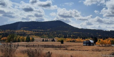 258 Puma Ln unit 53, Jefferson, CO 80456 - photo 5