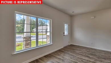 3288 Hawksbill St SW, Concord, NC 28027 - photo 2