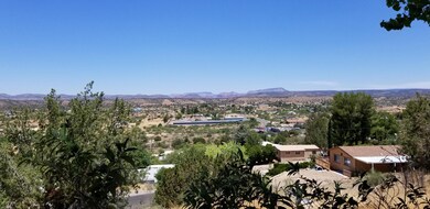 views