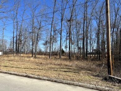 0 Whispering Winds Dr unit RTC2353344, Manchester, TN 37355 - photo 5