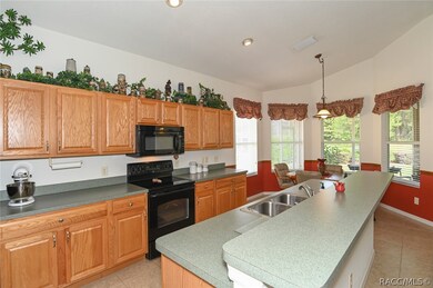 1340 W Skyview Crossing Dr, Hernando, FL 34442 - photo 4