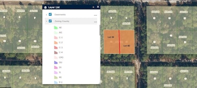 336 Gardenia Ave, Georgetown Cove, FL 32139 - photo 4