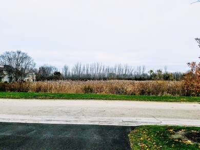 Open field facing home