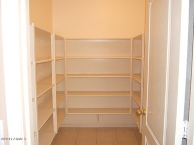 Huge Walk In Pantry