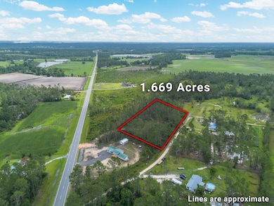 00 Willacoochee Hwy, Willacoochee, GA 31750 - photo 7