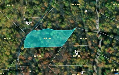 TBD Cub Creek Rd unit 1B, Massies Mill, VA 22967 - photo 7