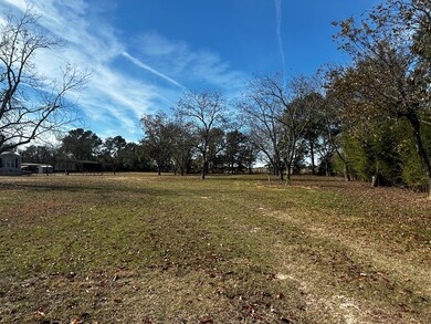 6870 Georgia 39, Donalsonville, GA 39845 - photo 4