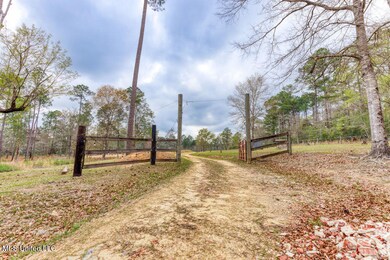 Enterance Gate to back of acreage