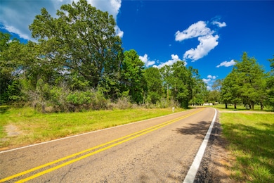 14799 Farm To Market 315, Palestine, TX 75803 - photo 5