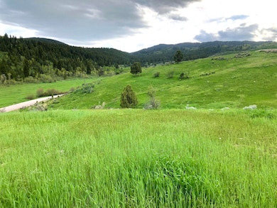 Lot 1 Angileen's Way, Lava Hot Springs, ID 83246 - photo 3