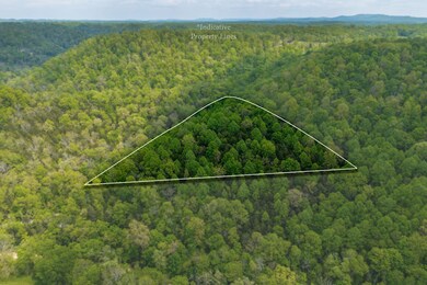 0 Red Bud Ln, Hilham, TN 38568 - photo 4