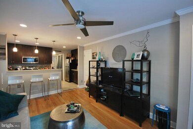 7300 Flower Ave unit 3, Takoma Park, MD 20912 - photo 2