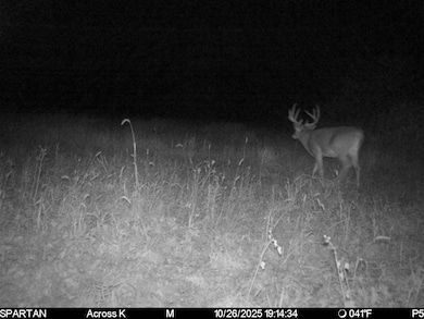 1504 Atom Rd, Lincoln, WI 54666 - photo 7