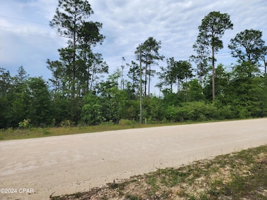 0 Elm Rd unit Lots 41 and 42, Marianna, FL 32448 - photo 5