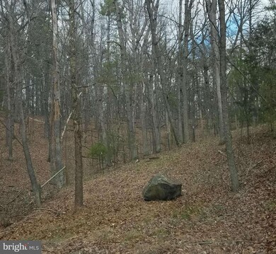 0 Palmer Rd unit 1003241395, Basye, VA 22810 - photo 6