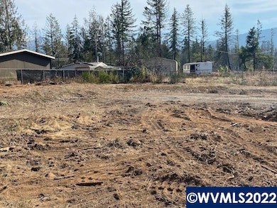 133 Fir St, Gates, OR 97346 - photo 6