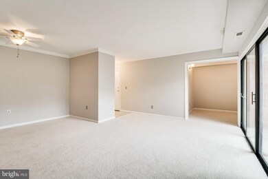 10725 West Dr, Fairfax, VA 22030 - photo 5