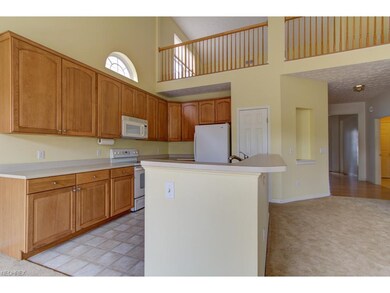 905 Alder Run Way, Akron, OH 44333 - photo 6