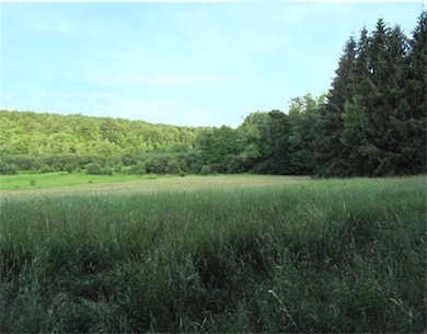 135 Wheeler Ave, Orange, MA 01364 - photo 2