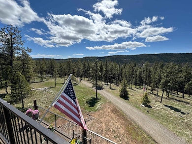 23003 Deer Creek Rd, Winchester, ID 83555 - photo 5