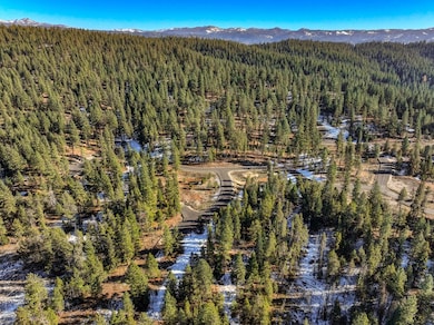 Lot 3 Hideout Dr unit 3, Donnelly, ID 83615 - photo 6