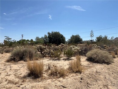 61891 El Reposo Cir, Joshua Tree, CA 92252 - photo 5