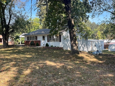 575 Goldsmith Ave, Mammoth Spring, MO 72554 - photo 3