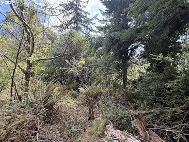 0 Averill Hill Rd unit 705339825, Portorford, OR 97465 - photo 3
