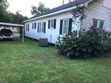 Back Yard (3)