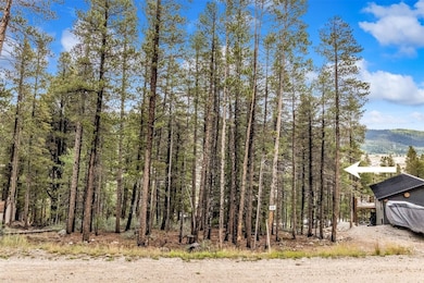 158 N Aspen St, Alma, CO 80420 - photo 2