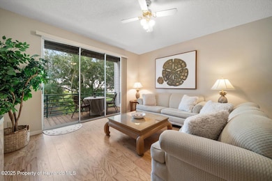 320 Island Way unit 105, Clearwater Beach, FL 33767 - photo 7