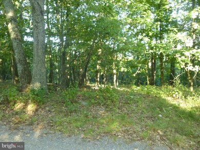 42 A Big Timber Dr, Whitacre, VA 22625 - photo 5