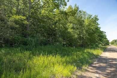 00 V/L Comstock Ave unit Par B, Bitely, MI 49309 - photo 5