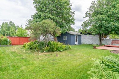 backyard (2)