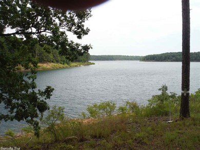 999 Belmont Acres Cir, Tumbling Shoals, AR 72581 - photo 3