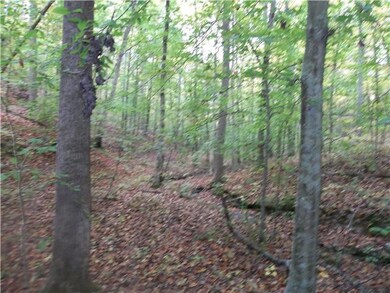 0 Mill Hollow unit RTC1494566, Linden, TN 37096 - photo 7