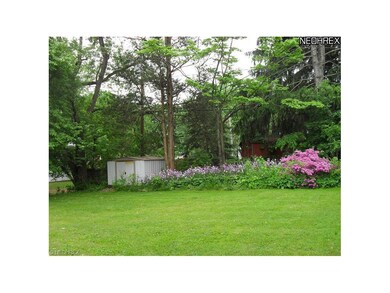 Beautiful perennial back yard flowers with storage