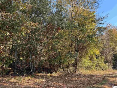 00 Highway 552, Downsville, LA 71234 - photo 2