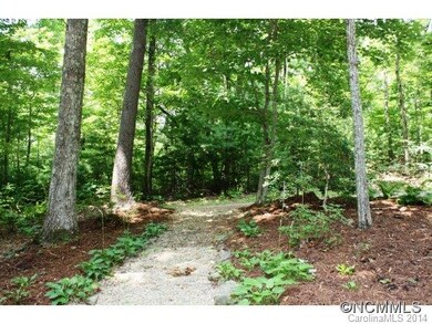 Welcome to the woods