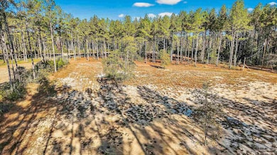 1421 Mineral Springs Rd, Jay, FL 32565 - photo 6