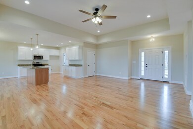 223 Locust Grove Ln, Stuarts Draft, VA 24477 - photo 4