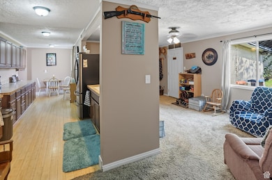 Living area featuring a textured ceiling, a ceiling fan, light wood-type flooring, and light carpet