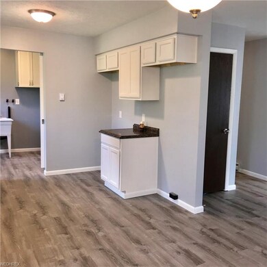 37 N Poplar St, Jefferson, OH 44047 - photo 6