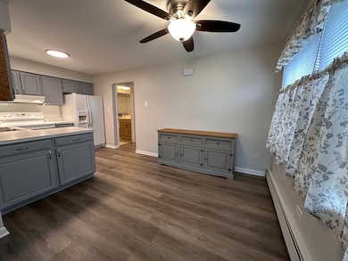 4525 Elm Ave unit 2B, Brookfield, IL 60513 - photo 6