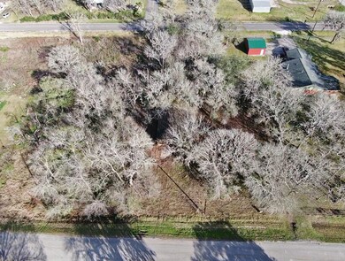 0 River Bend Dr unit 60811089, Brazoria, TX 77422 - photo 4