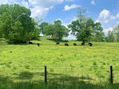 389 Arnold Rd, Shelbyville, TN 37160 - photo 5