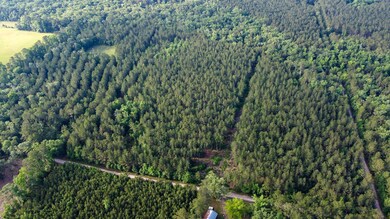 Blue Sparks SC Land for Sale-05